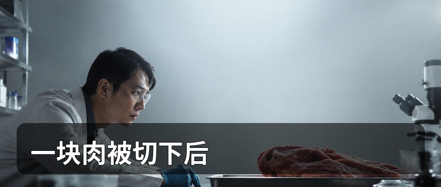 冲突主视觉